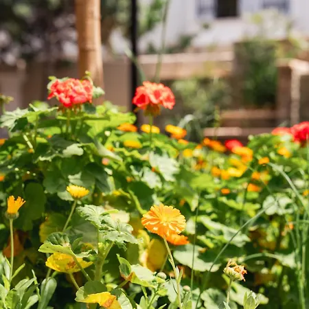 Buyuk Berk Hotell Sarimsakli