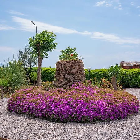 Hotel Buyuk Berk